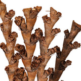 Vickerman 18" Dried Natural Buriti Twig 18