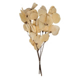 Vickerman 13.5-17" Bleached Dried Moneta Leaf on Twig Bundle Preserved, 13.5-17"