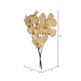 Vickerman 13.5-17" Bleached Dried Moneta Leaf on Twig Bundle Preserved