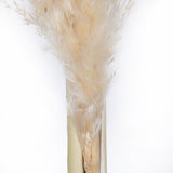 Vickerman 46" Dried Pampas Grass