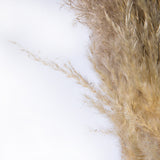Vickerman 46" Dried Pampas Grass