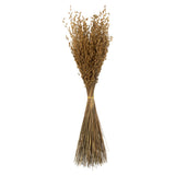 Vickerman 30" Princess Grass Bundle, Dried, 30"