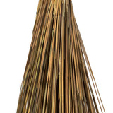 Vickerman 30" Princess Grass Bundle, Dried