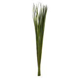 Vickerman Sable Grass, Dried, Foliage Green