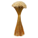 Vickerman 14" Dried Natural Starflower Bunch, 14"