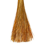 Vickerman 14" Dried Natural Starflower Bunch