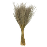 Vickerman 14-20" Natural Snowdrop Grass 3 pack Dried, 14-20"