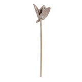 Vickerman 16" Sora Pod on Wood Stem, Dried, White Wash