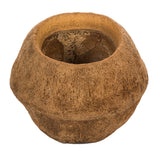 Vickerman 4" Sapa Pod, Dried, Natural