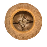 Vickerman 4" Sapa Pod, Dried