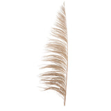 Vickerman 60-72" Uva Palm Spray, Natural