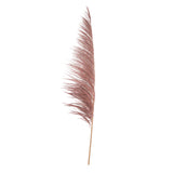 Vickerman 60-72" Uva Palm Spray, Dusty Rose
