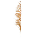 Vickerman 60-72" Uva Palm Spray, Aspen Gold