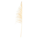 Vickerman 60-72" Uva Palm Spray, Bleached