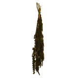 Vickerman 30" Amaranthus Bundle, Preserved, Olive