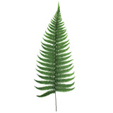 Vickerman 16-18" Green Parchment Fern, Preserved, 16-18"