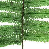 Vickerman 16-18" Green Parchment Fern, Preserved