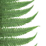 Vickerman 16-18" Green Parchment Fern, Preserved