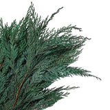 Vickerman 18-24" Port Orford Green Cedar Branches, Preserved