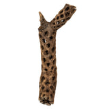 Vickerman Natural Cholla Cactus Segment, Dried, 10-12"