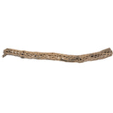 Vickerman Natural Cholla Cactus Segment, Dried, 29-35"