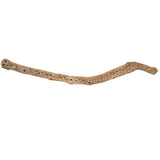 Vickerman Natural Cholla Cactus Segment, Dried, 36-41"
