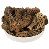 Vickerman Natural Cholla Cactus Segment, Dried, 4 -18"