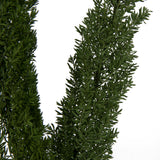 Vickerman 8-10" Green Foxtail Fern Bunch Preserved