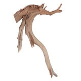Vickerman Ghostwood Manzanita, Dried, 18"