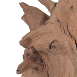 Vickerman Ghostwood Manzanita, Dried