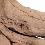 Vickerman Ghostwood Manzanita, Dried
