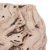 Vickerman 12-14" Grapewood Urns Sand Blasted Dried