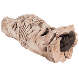 Vickerman 12-14" Grapewood Urns Sand Blasted Dried