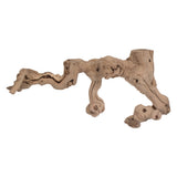Vickerman Sand Blasted Grapewood Trunk Branch, Dried, Tan