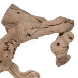 Vickerman Sand Blasted Grapewood Trunk Branch, Dried