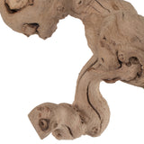 Vickerman Sand Blasted Grapewood Trunk Branch, Dried