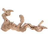 Vickerman Sand Blasted Grapewood Trunk Branch, Dried
