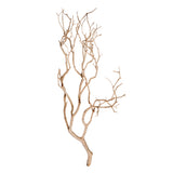 Vickerman Manzanita Tree Branch, Dried, 24", Brown