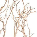Vickerman Manzanita Tree Branch, Dried