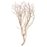 Vickerman Manzanita Tree Branch, Dried, 36", Brown