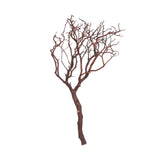 Vickerman Manzanita Tree Branch, Dried, 24", Natural