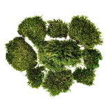 Vickerman Premium Green Mood Moss Preserved, Box