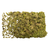 Vickerman Natural Botanicals Reindeer Moss, Box, Light Green
