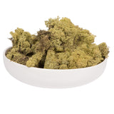 Vickerman Natural Botanicals Reindeer Moss, 2 Lbs, Light Green