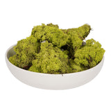 Vickerman Natural Botanicals Reindeer Moss, 2 Lbs, Lime