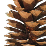 Vickerman 9.5-10" Sugar Pinecones