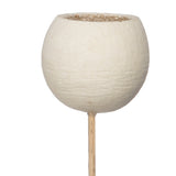 Vickerman Natural Botanicals 20" Bell Cup Bleached on Stem