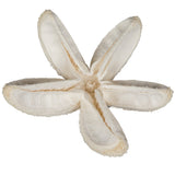 Vickerman 2-3" Bleached Bullet Flower, 50 per Pack, 2.36"