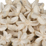 Vickerman 2-3" Bleached Bullet Flower, 50 per Pack