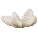Vickerman 2-3" Bleached Bullet Flower, 50 per Pack